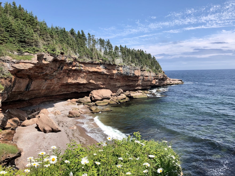 brown rocky mountain beside green trees and body of water during daytime