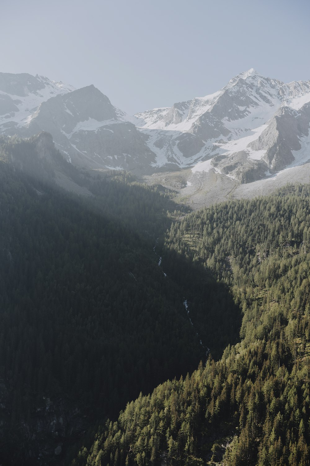 green trees on mountain during daytime