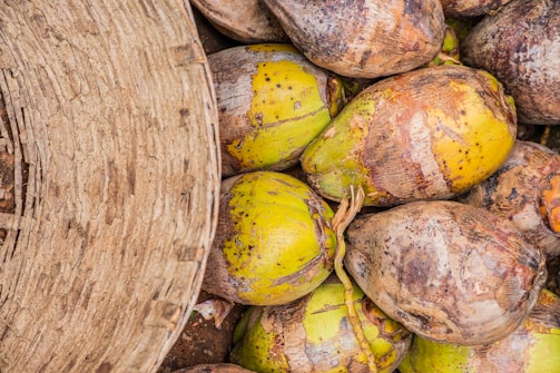 A collection of coconuts with rough, textured husks is piled closely together. On the left side of the image, a woven basket made of natural fibers is partially visible, suggesting a scene of harvesting or storage.