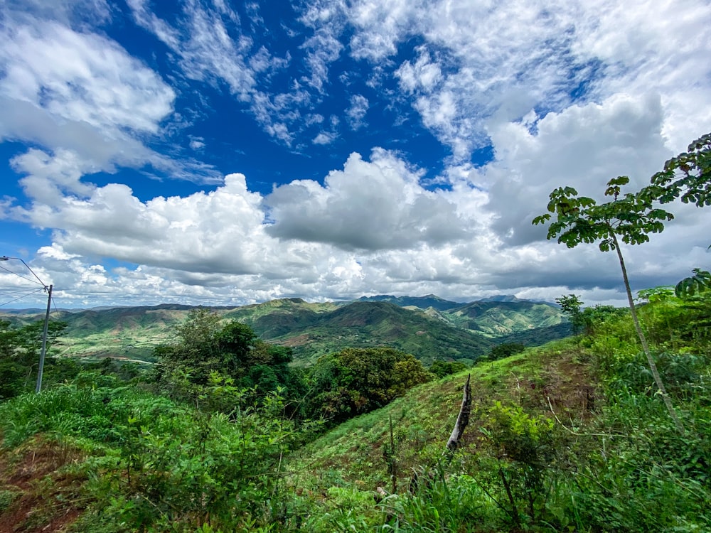 campo de hierba verde bajo nubes blancas y cielo azul durante el día