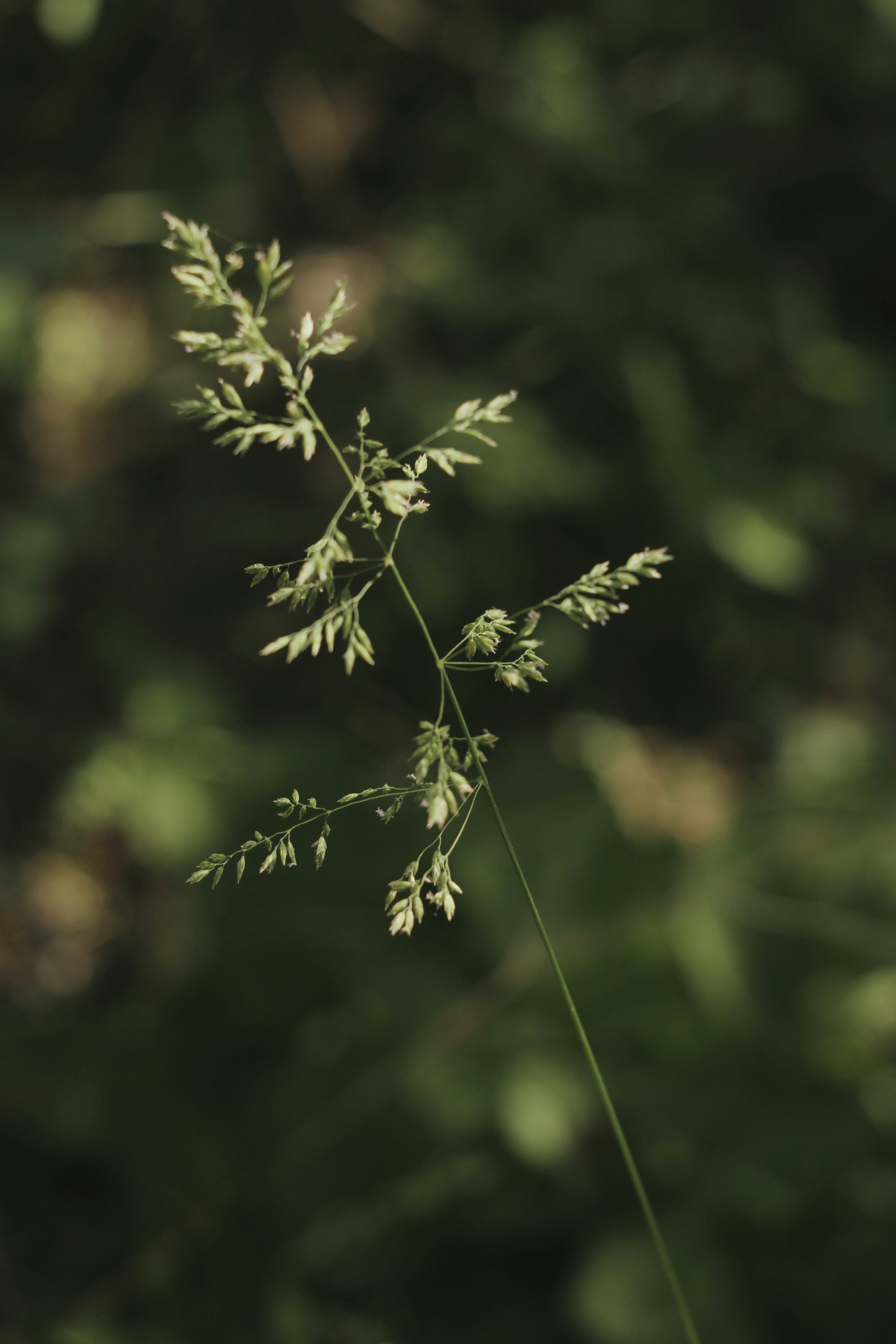 Photo by answer_moriarty