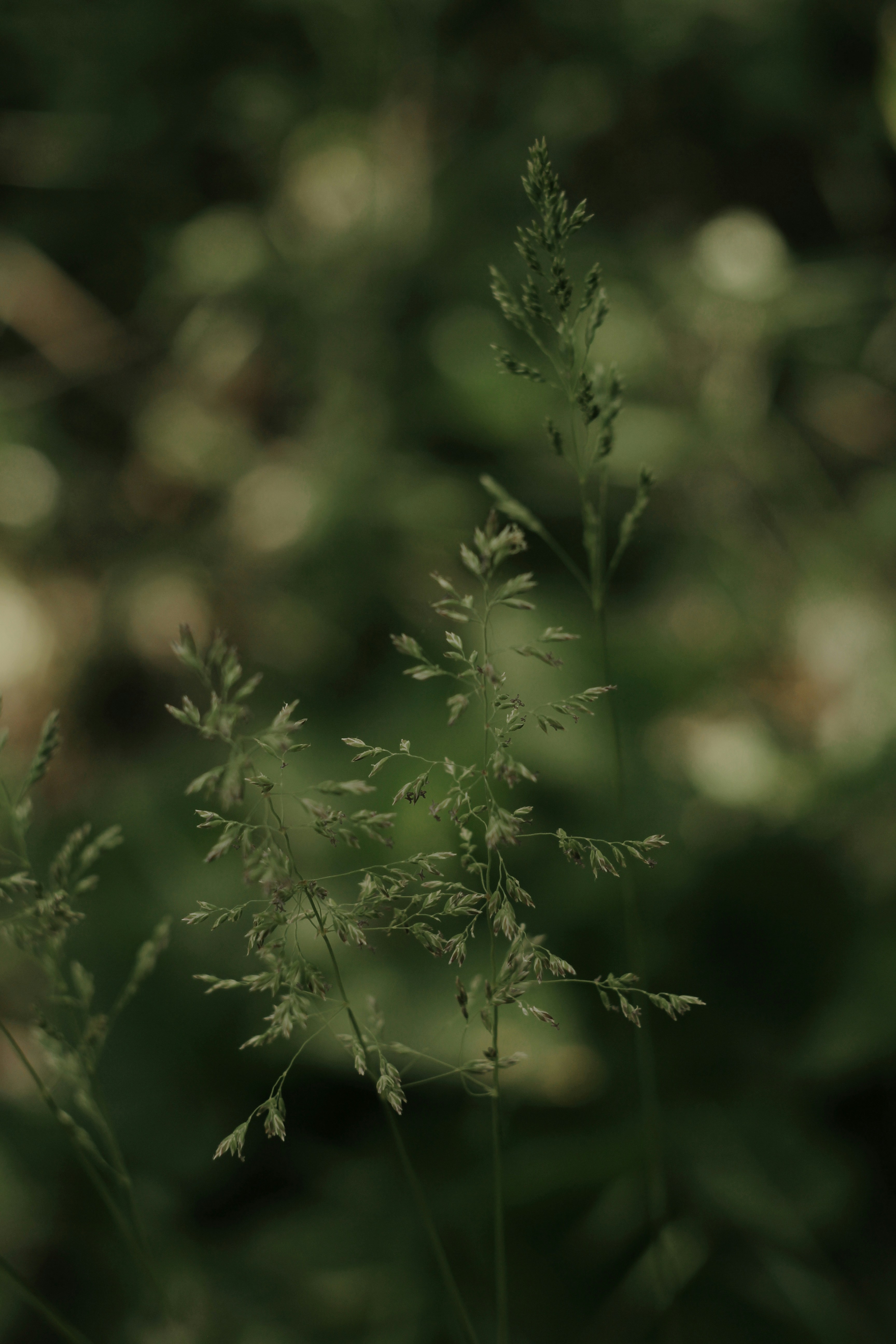 Photo by answer_moriarty