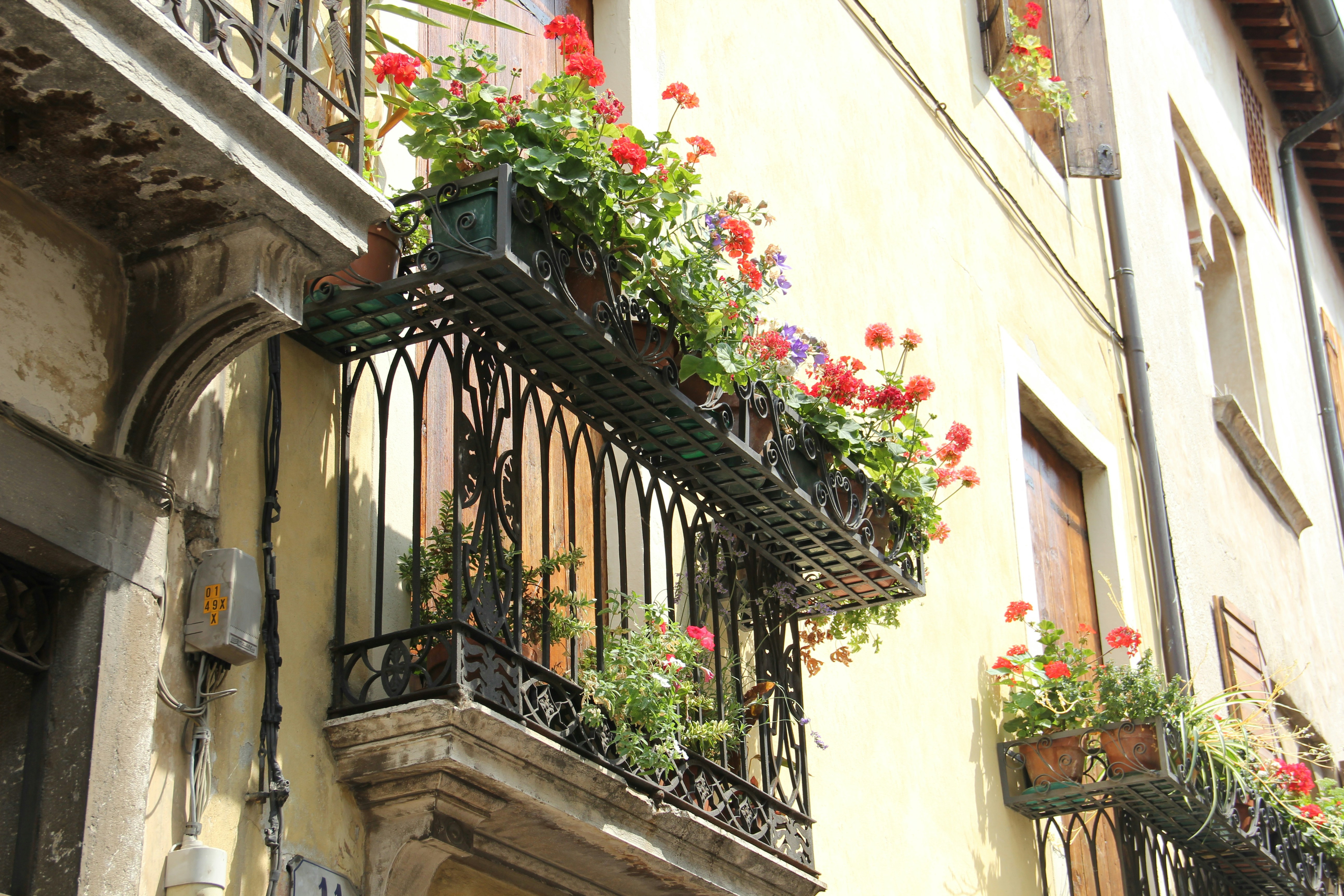 Photo by shalevcohen