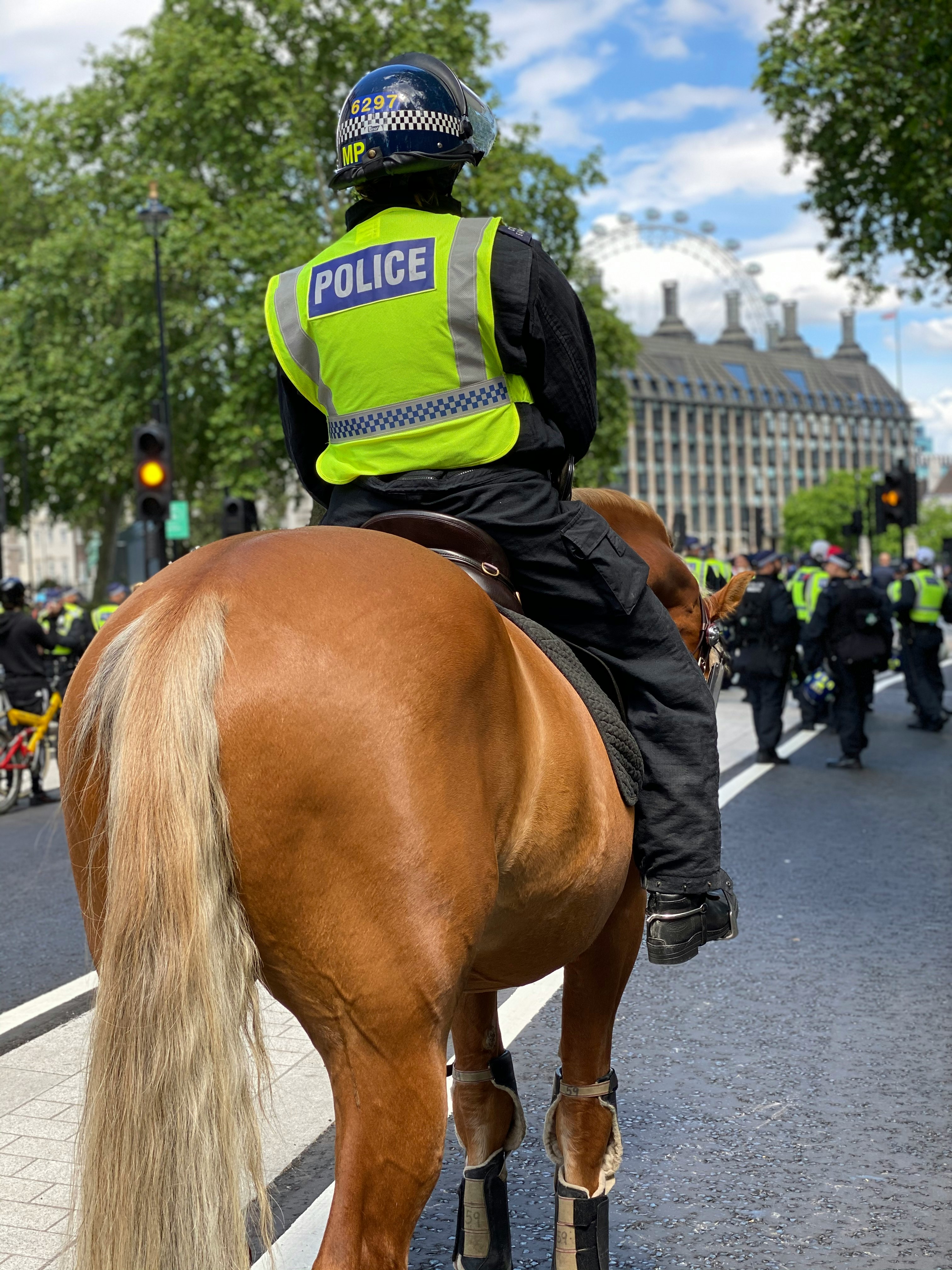 man in black and green jacket riding brown horse during daytime