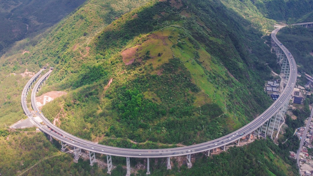 aerial view of green trees and gray concrete bridge