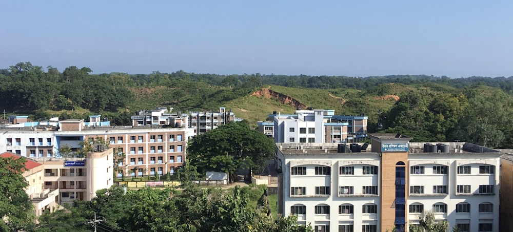 white and brown concrete building near green trees during daytime