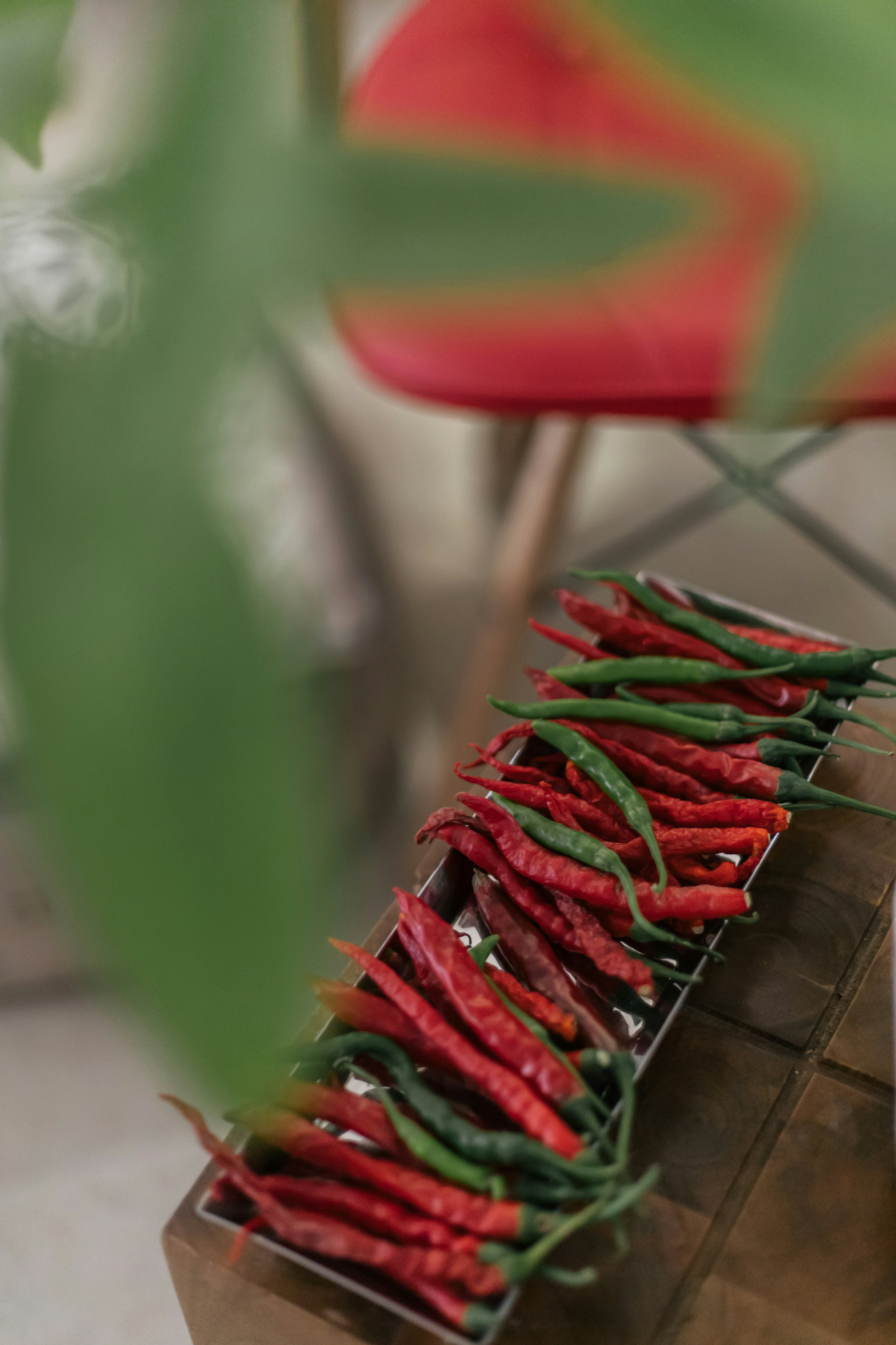 Red and green chili peppers harvested on a wooden table, vibrant colors in natural light