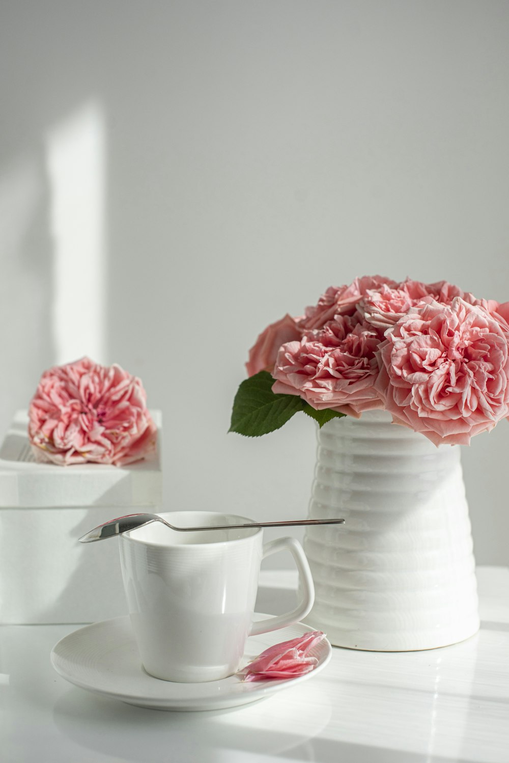 pink roses in white ceramic pitcher
