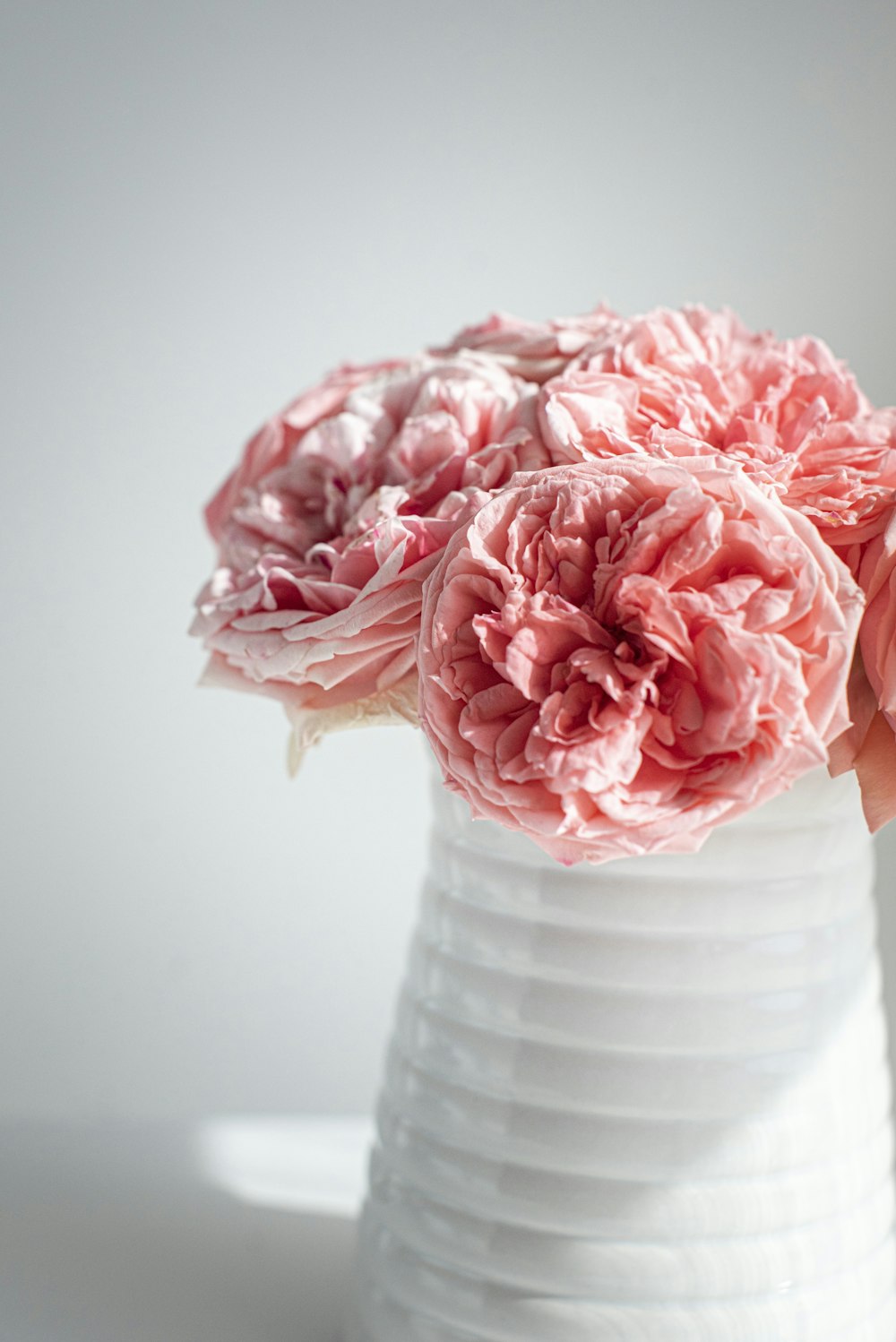 pink flower in white ceramic vase