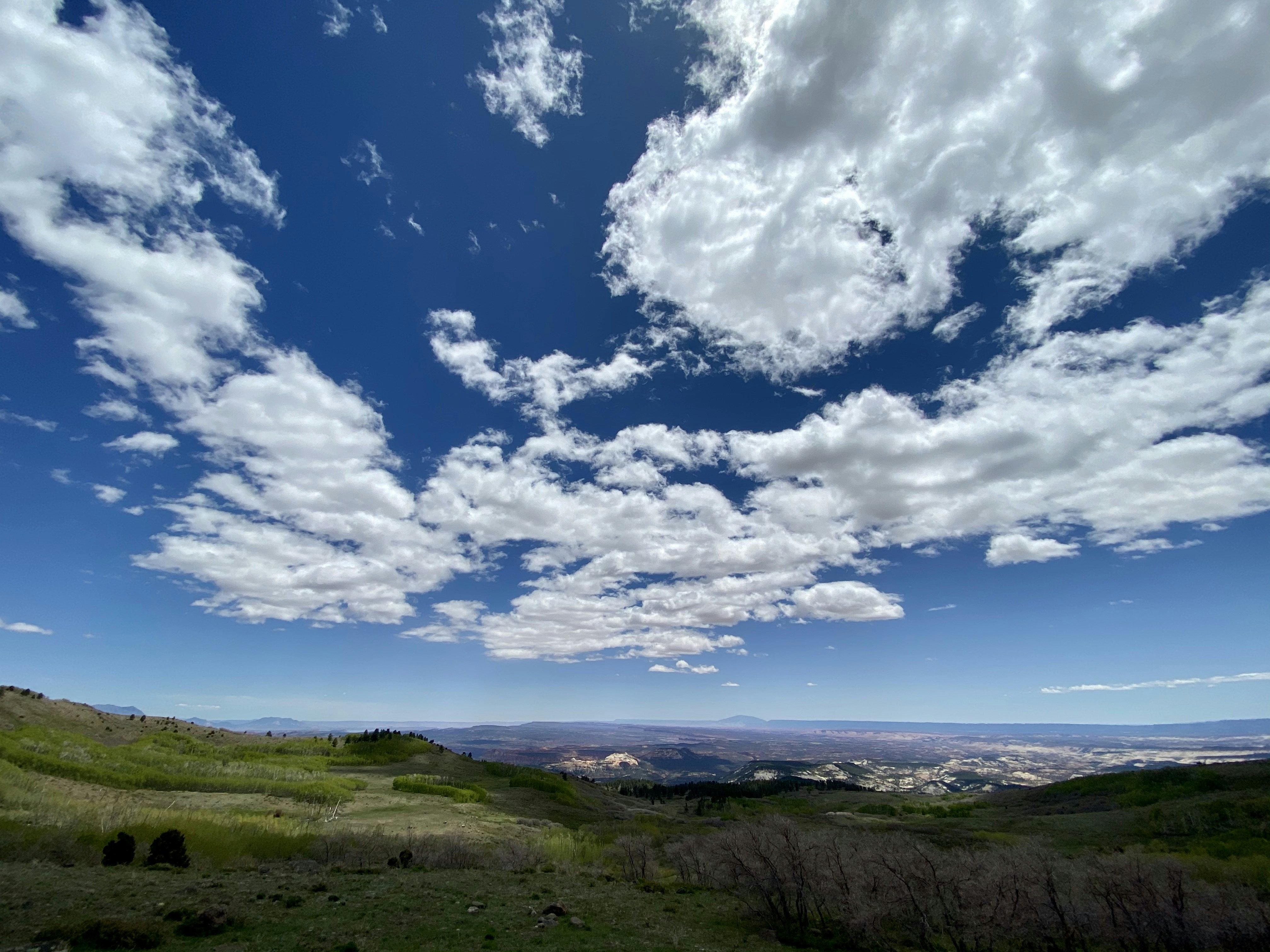 Photo by robertmerrill