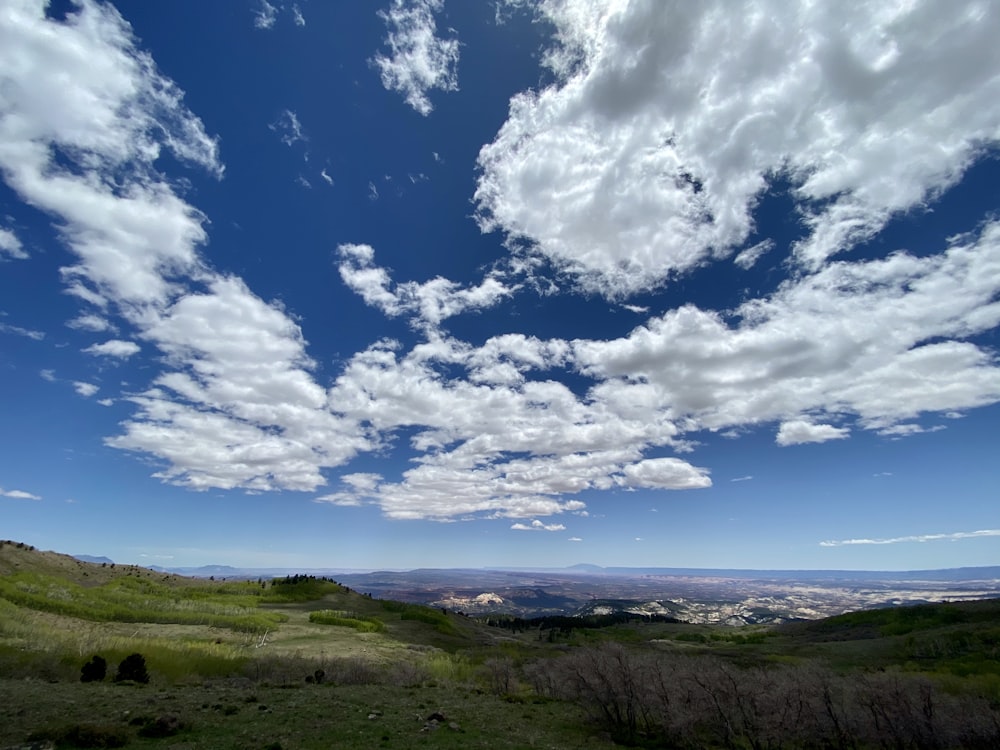 green grass field under blue sky and white clouds during daytime