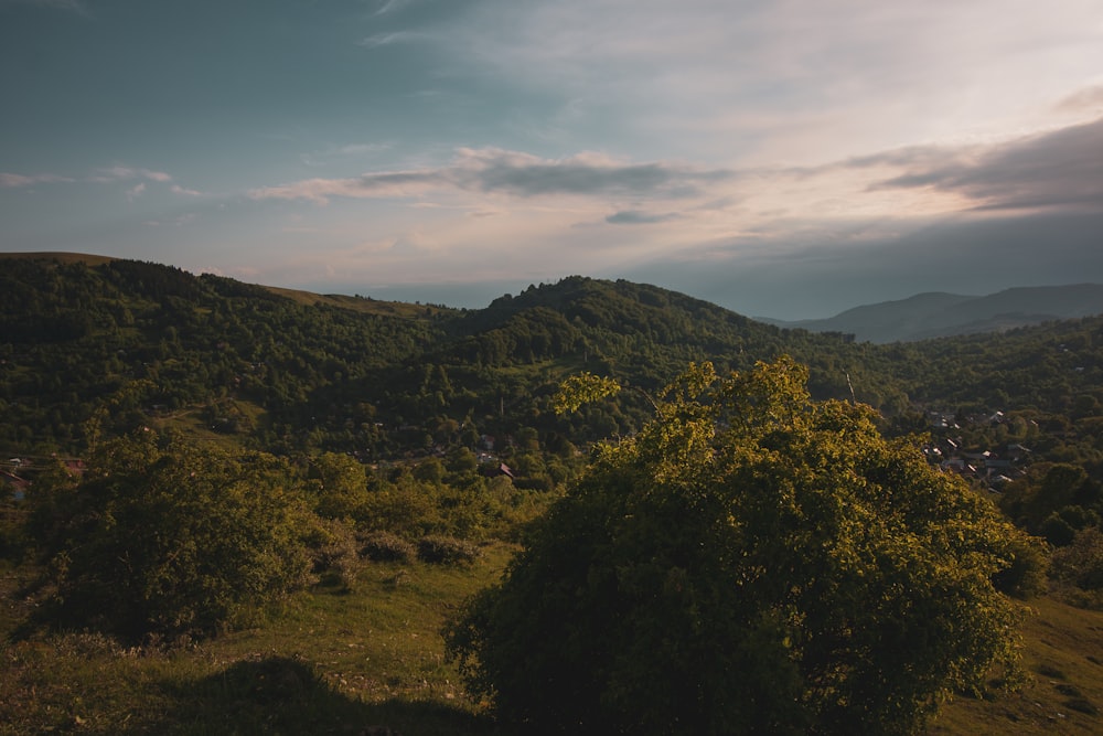 green trees on mountain under cloudy sky during daytime