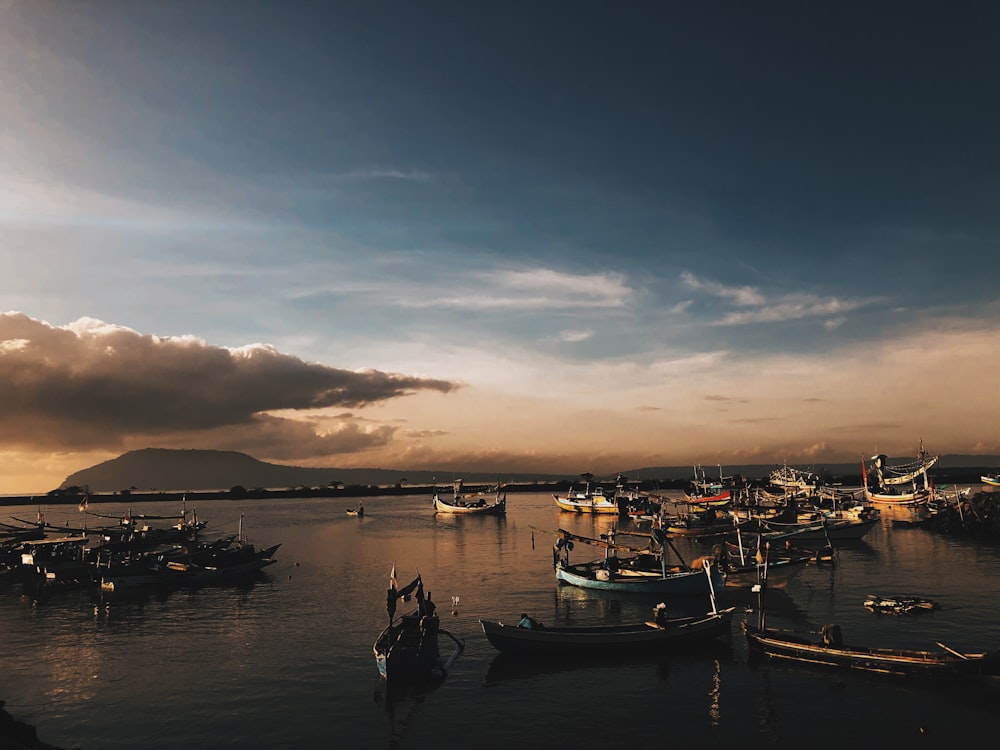 white and blue boat on sea during sunset