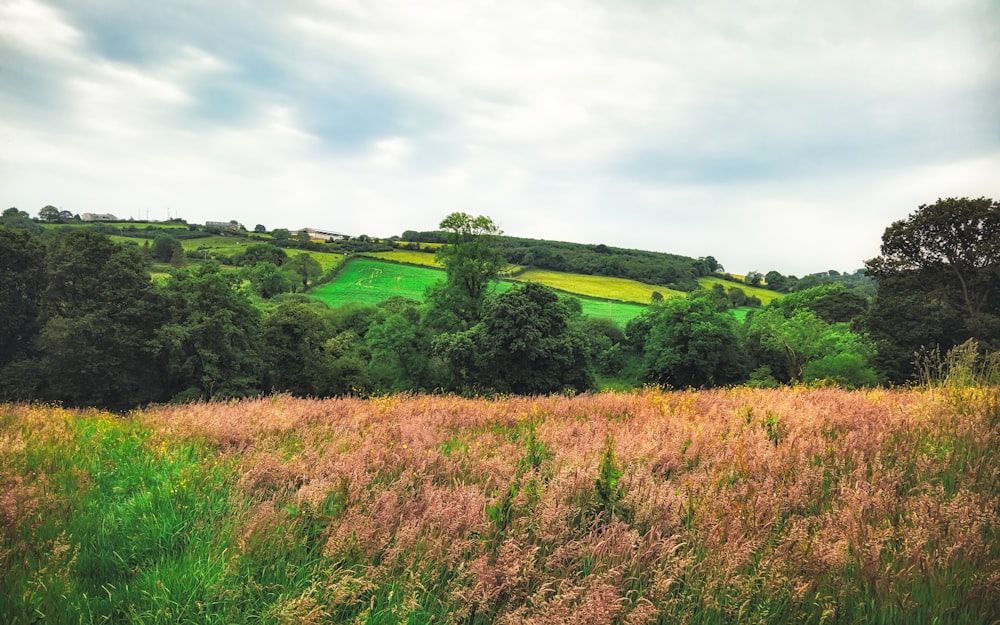 green grass field under cloudy sky during daytime