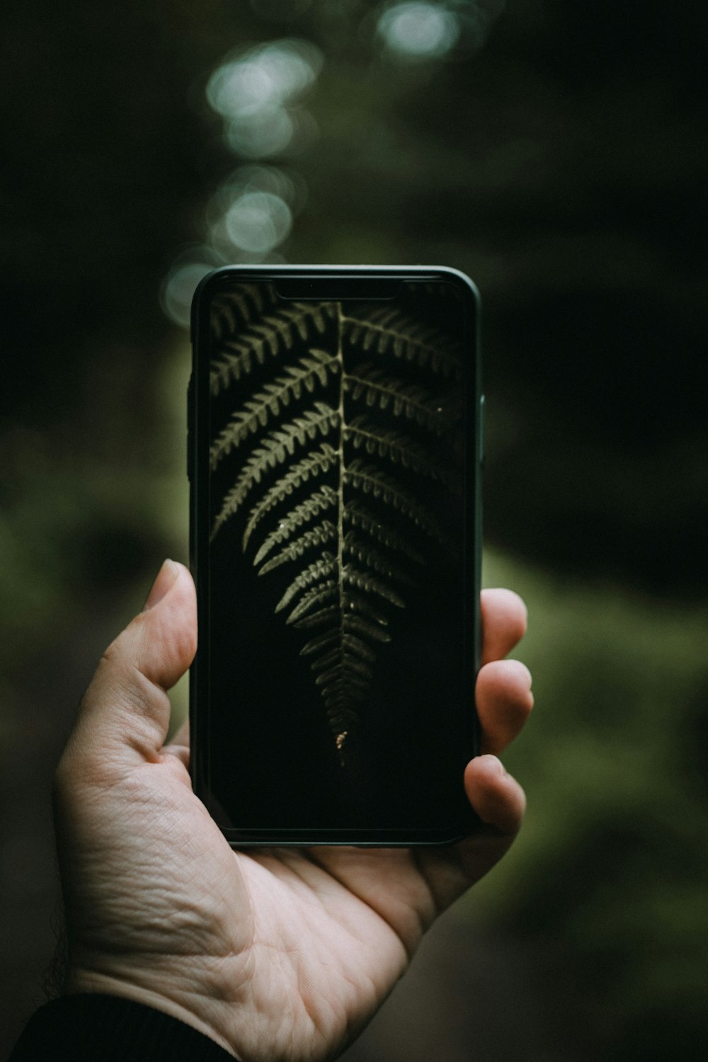 person holding black smartphone with black case