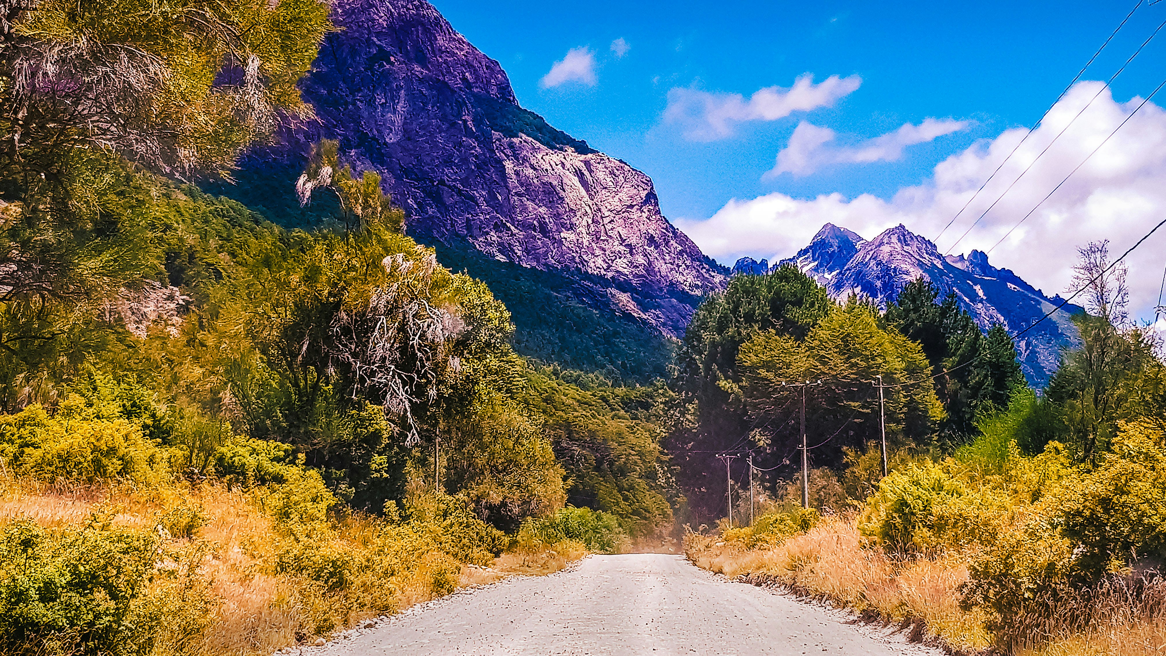 green trees near mountain under blue sky during daytime