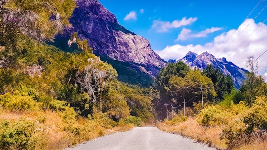 green trees near mountain under blue sky during daytime in Neuquén Argentina