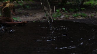 A stream of water is captured as it flows into a small, dark pool. The surrounding area is earthy with patches of green foliage in a natural setting.