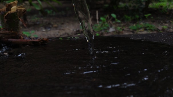 A stream of water is captured as it flows into a small, dark pool. The surrounding area is earthy with patches of green foliage in a natural setting.
