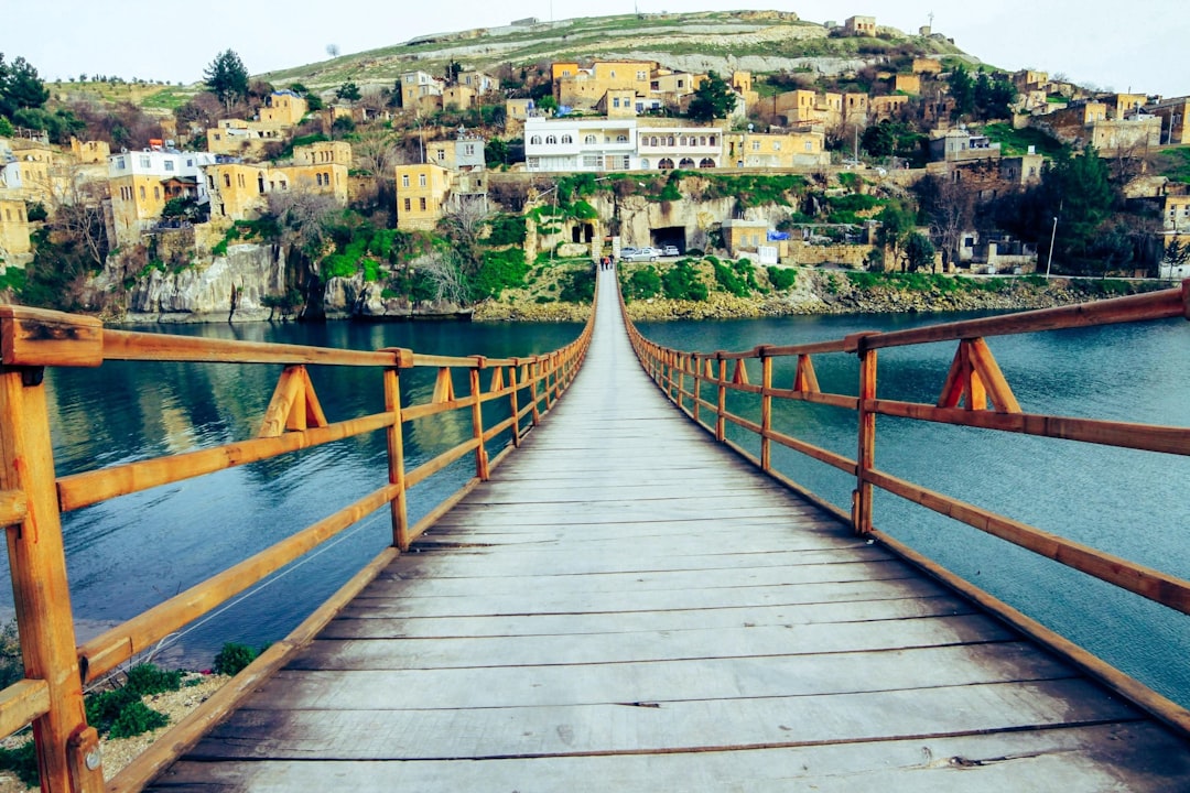 brown wooden bridge over river during daytime