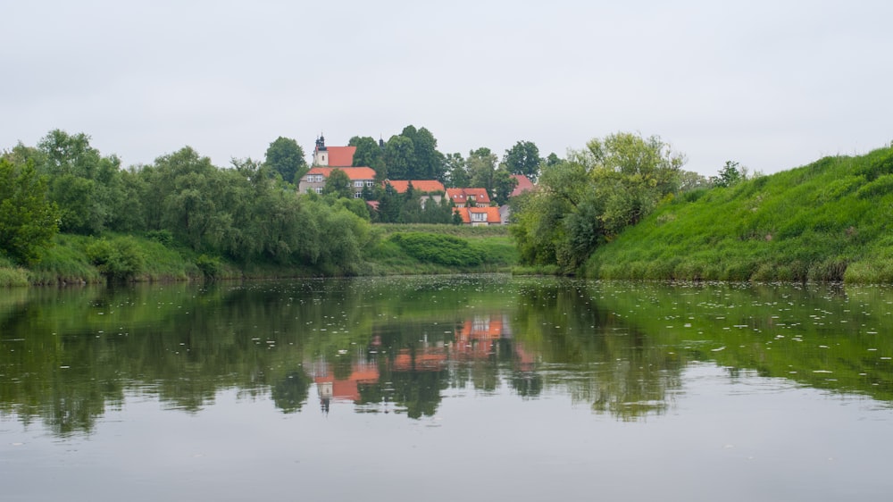 green trees beside body of water during daytime