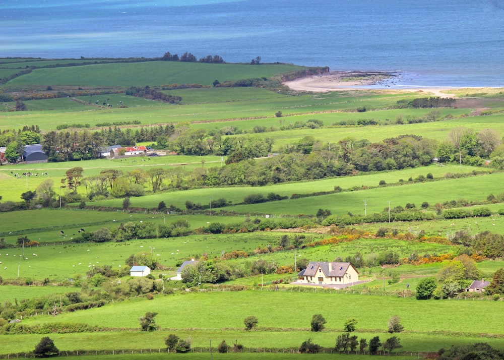 green grass field near body of water during daytime