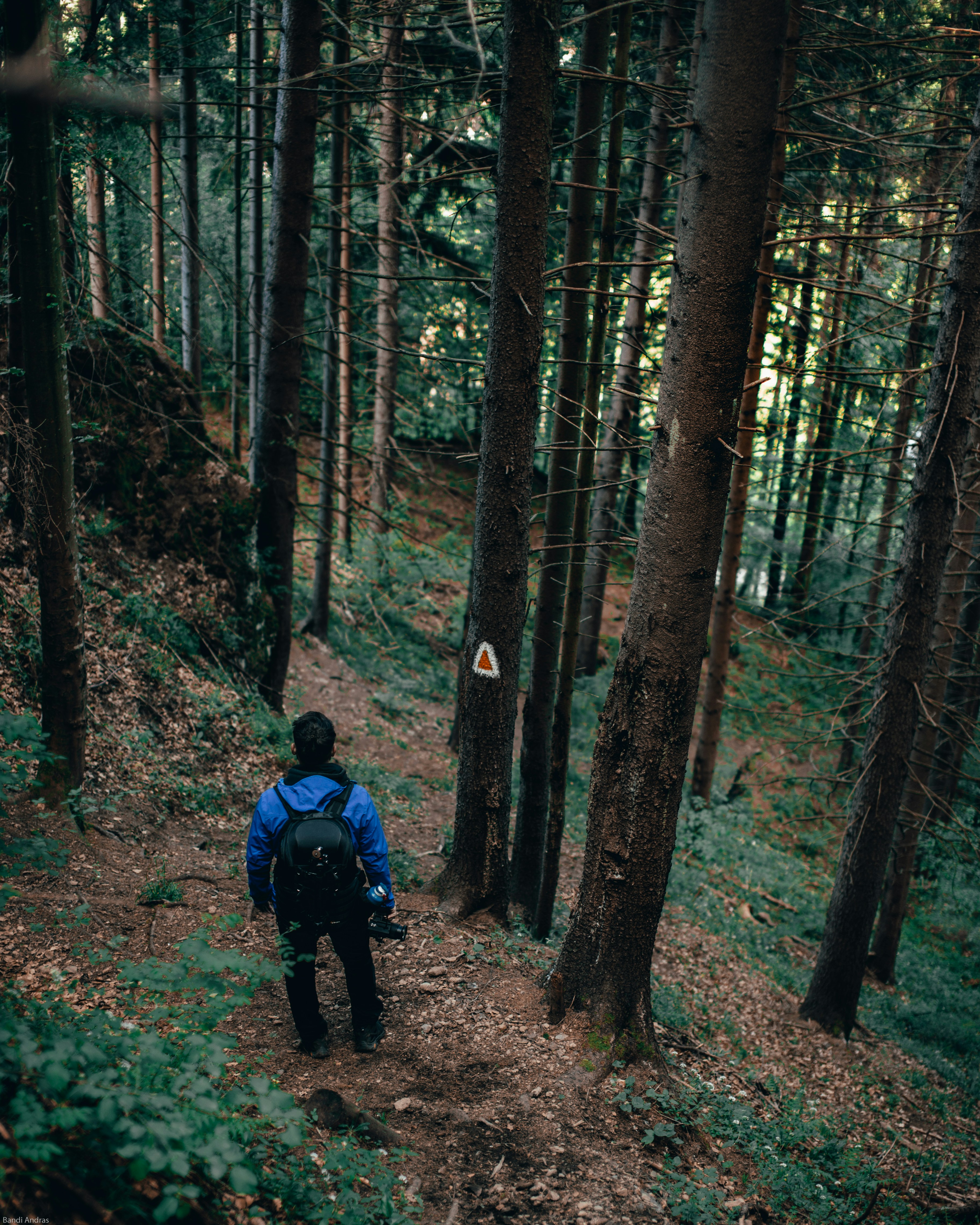 Photo by tamas_tuzeskatai