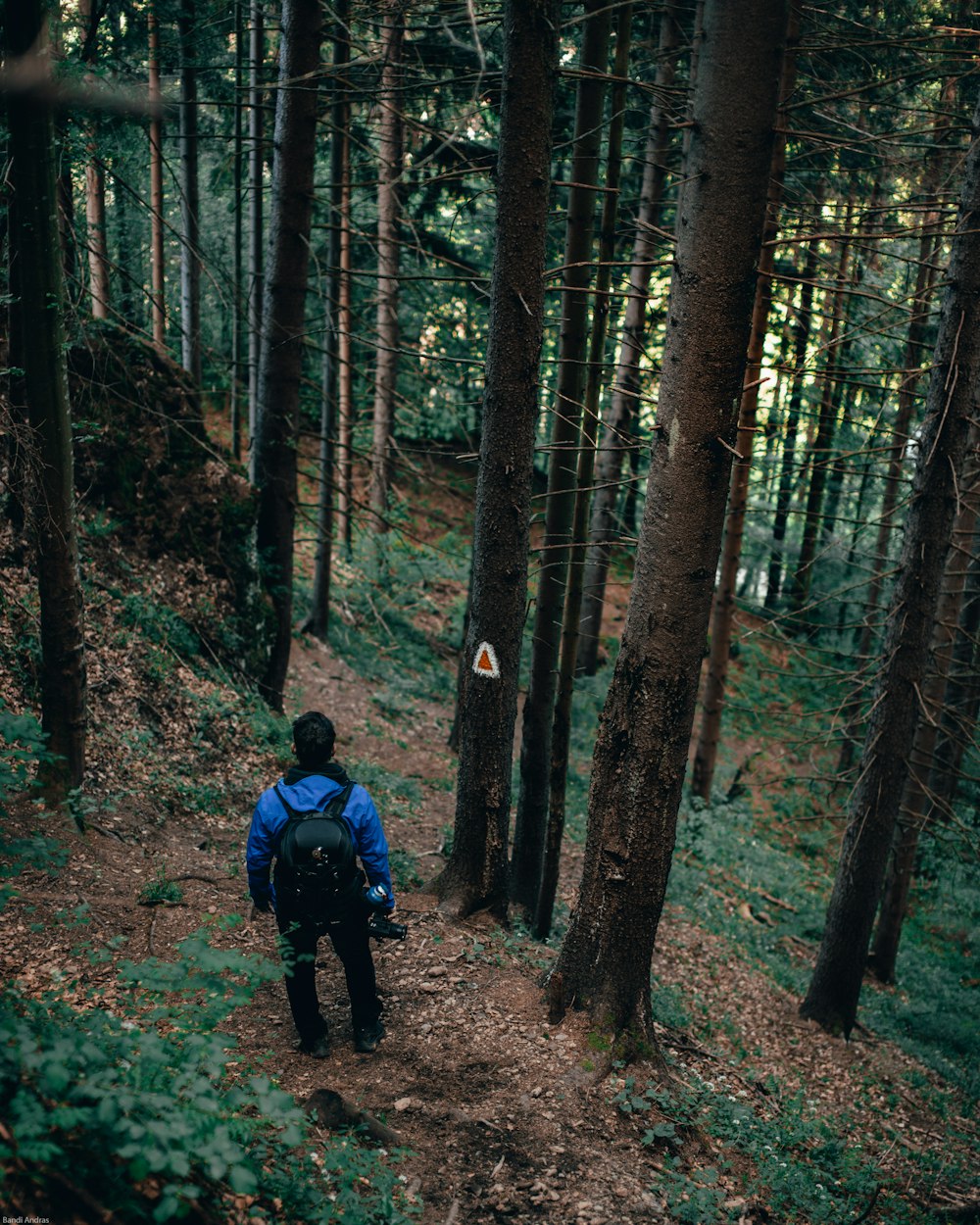 man in blue jacket and black pants walking on forest during daytime ...