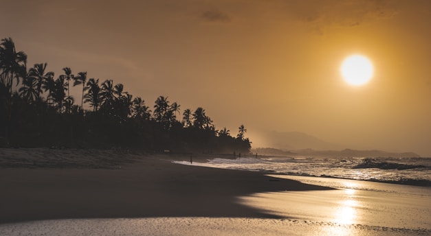 A serene beach sunset with palm trees lining the shore