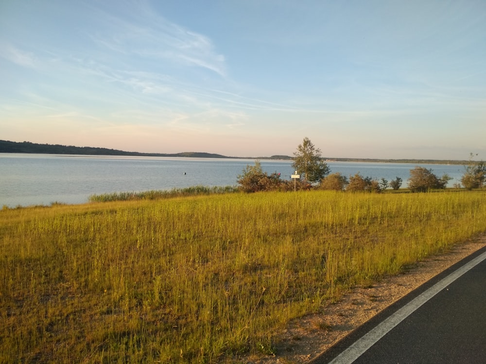 green grass near body of water during daytime