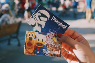 billet disneyland paris