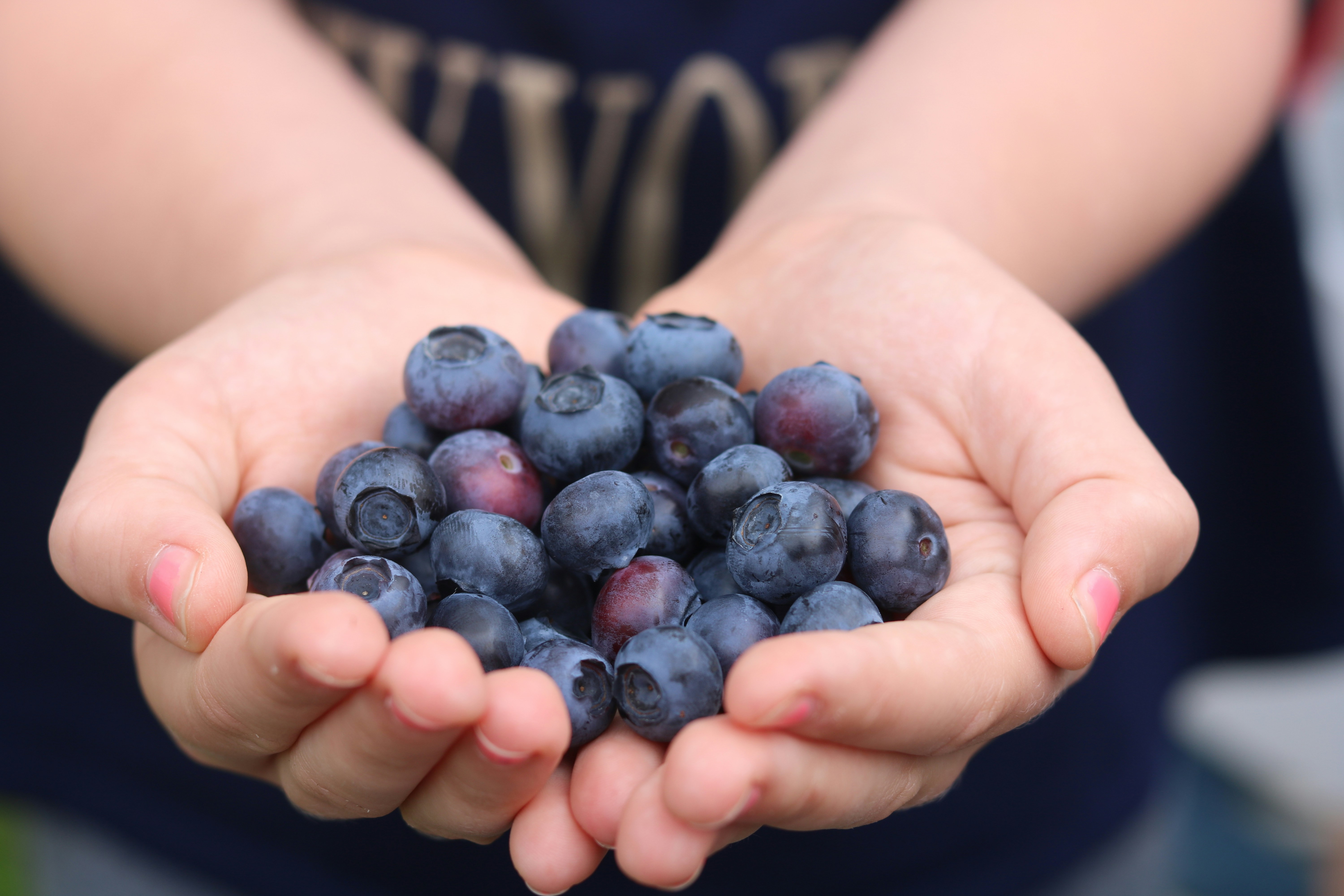 Photo by davidjboozer