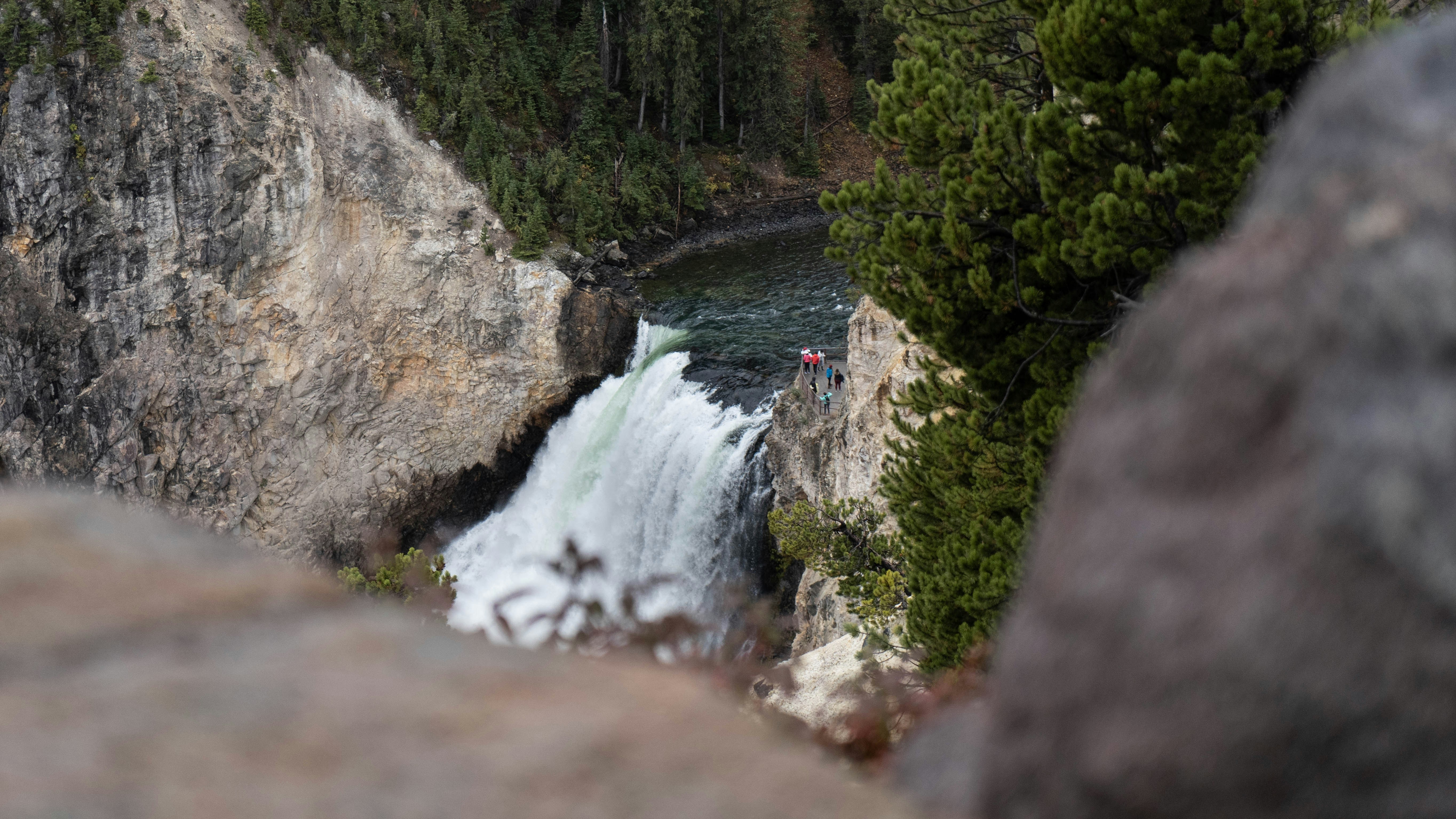 Photo by seedandsower