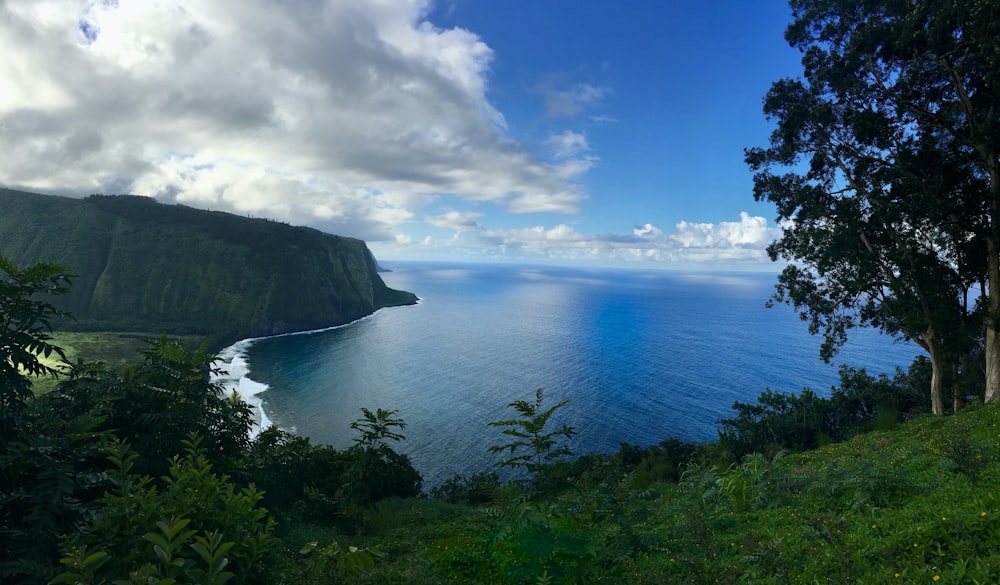 árvores verdes na montanha perto do mar sob o céu azul durante o dia