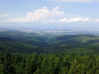 green trees on mountain under white clouds during daytime