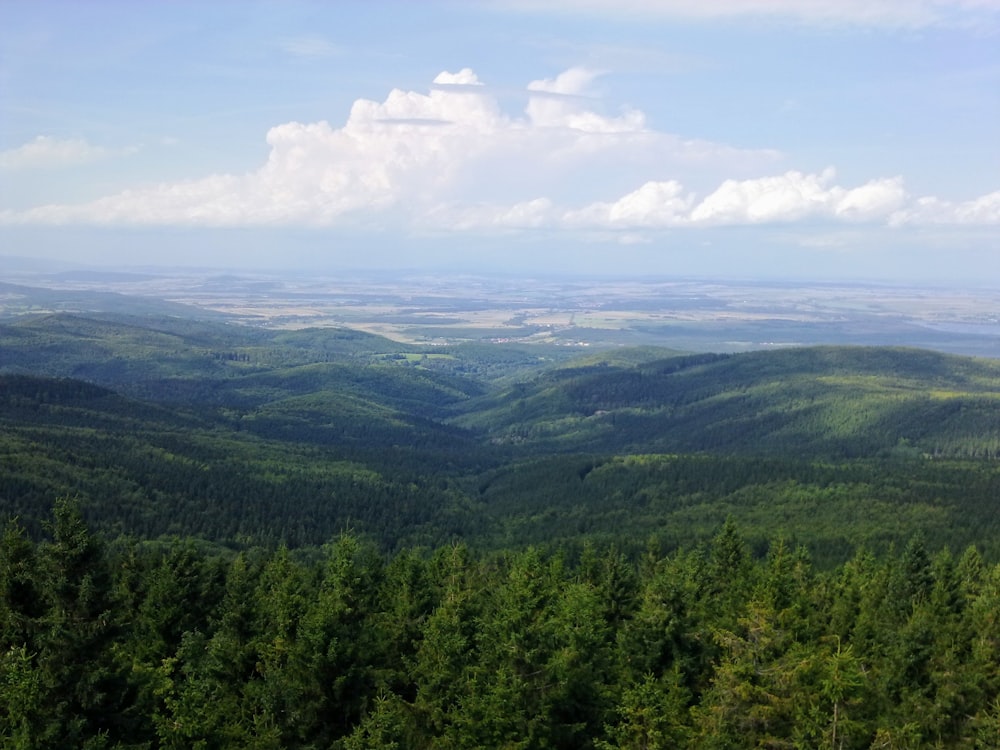 green trees on mountain under white clouds during daytime