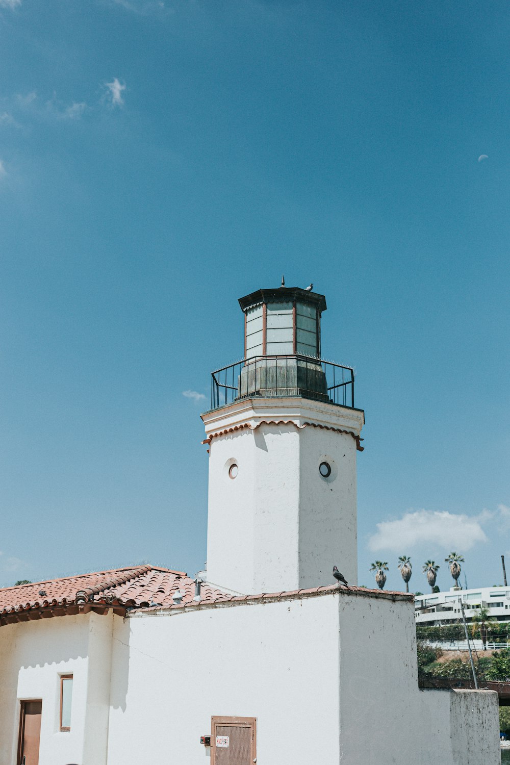 white and black concrete lighthouse under blue sky during daytime