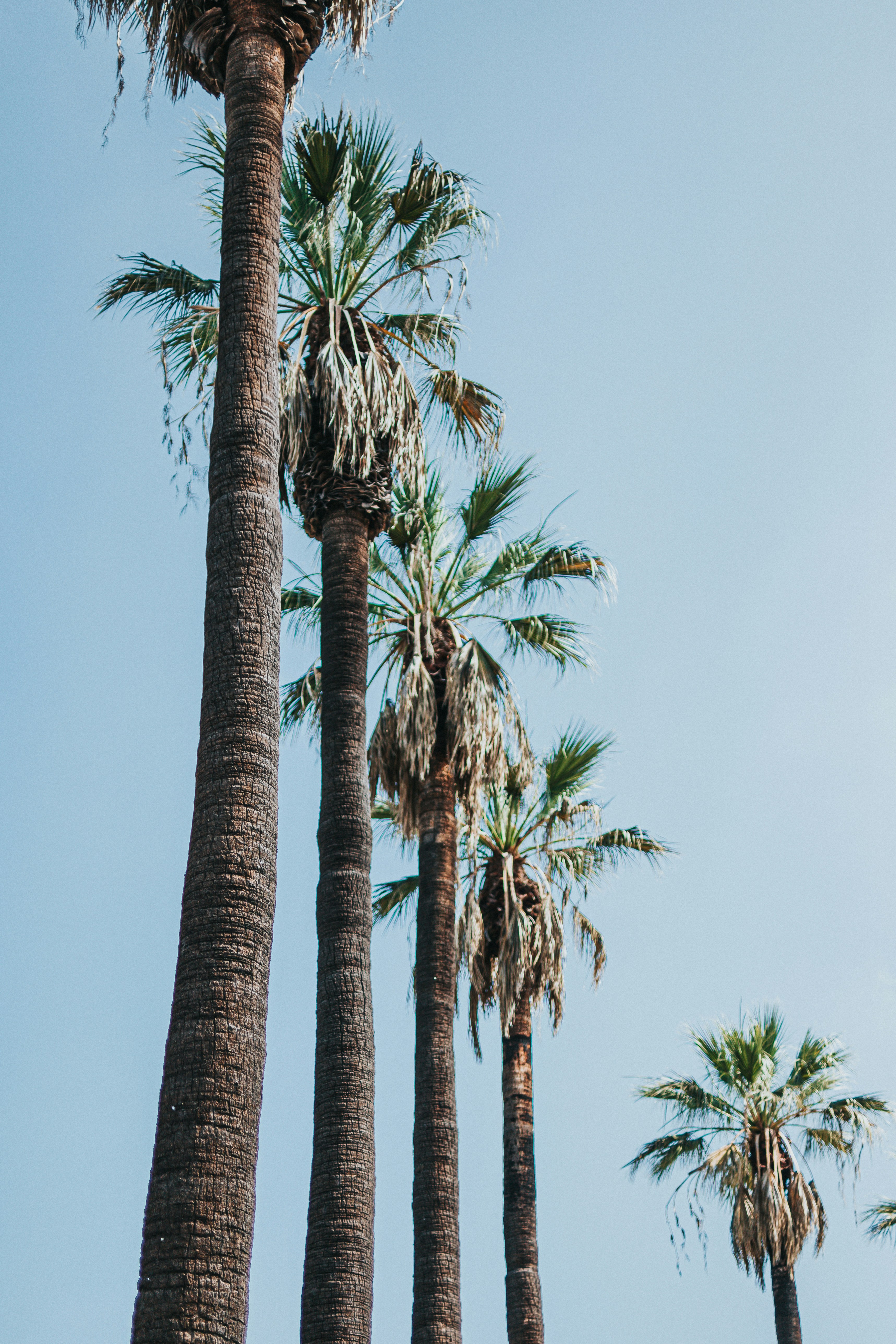 Photo by donovan_valdivia