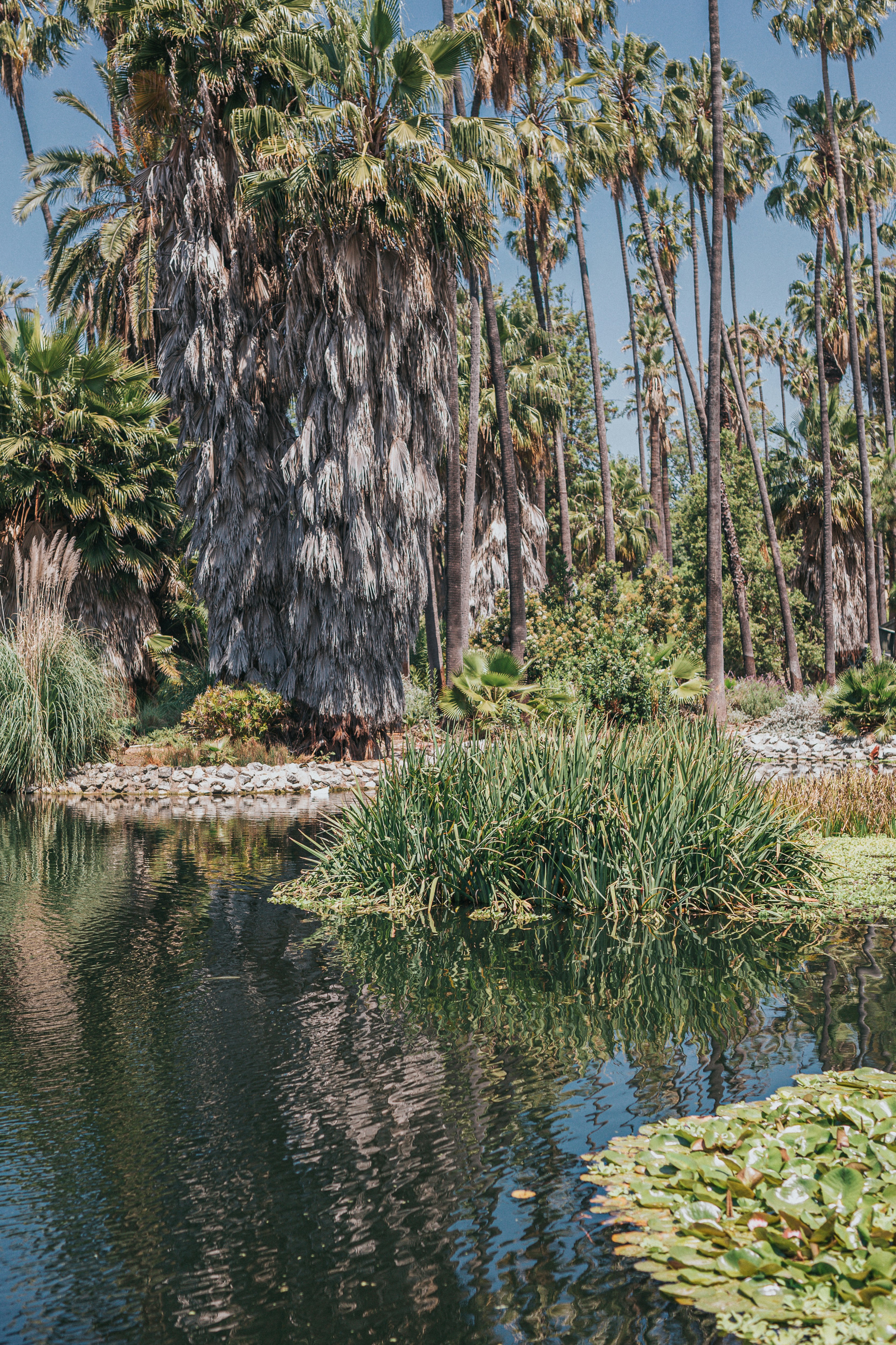 Photo by donovan_valdivia