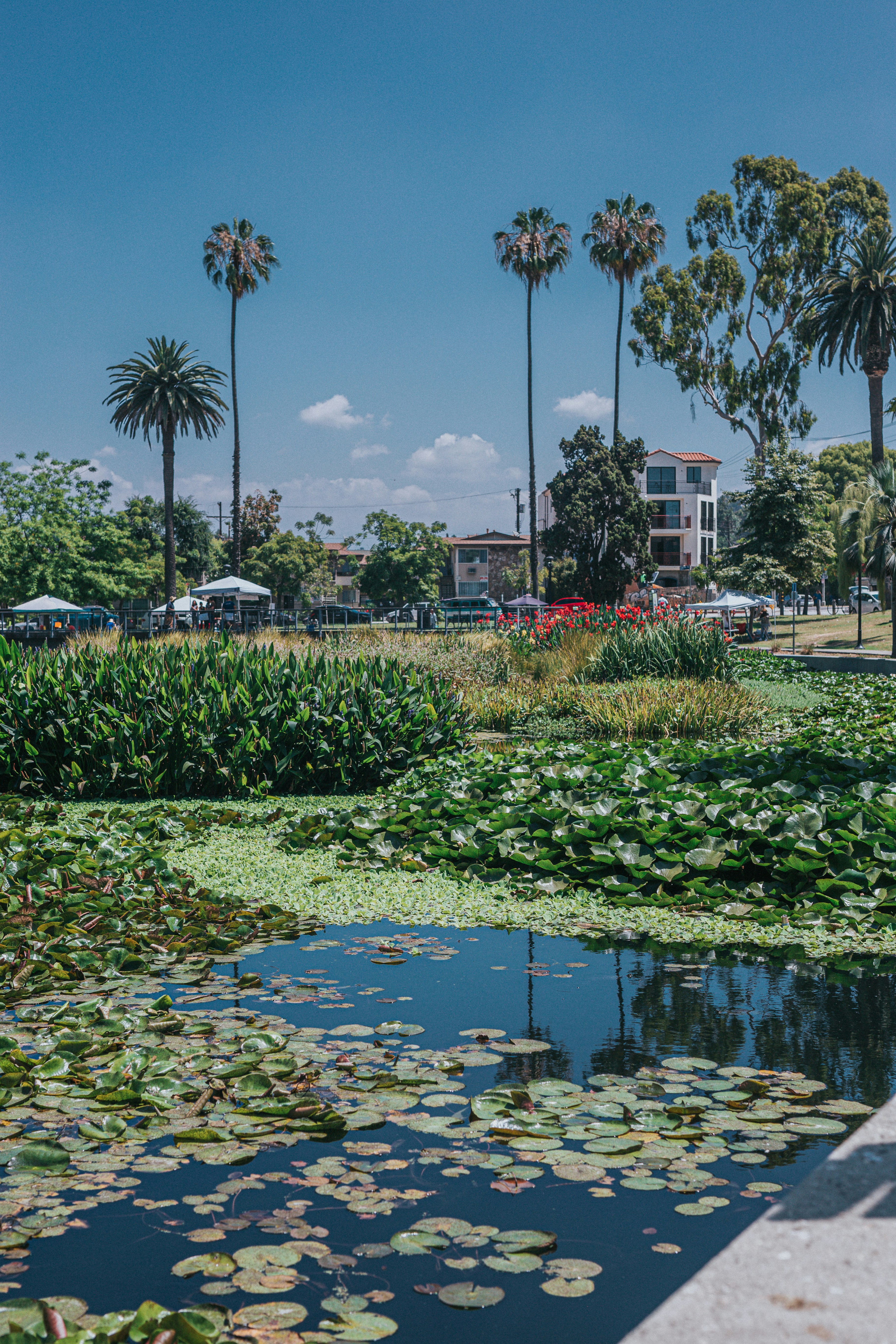 Photo by donovan_valdivia