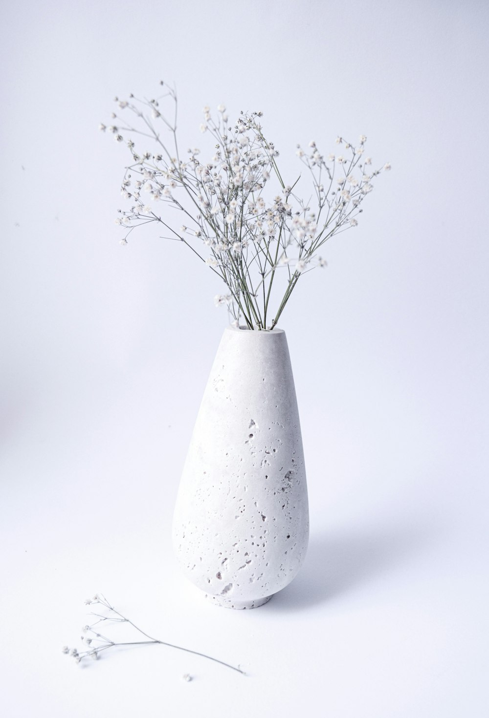 white ceramic vase with green plant