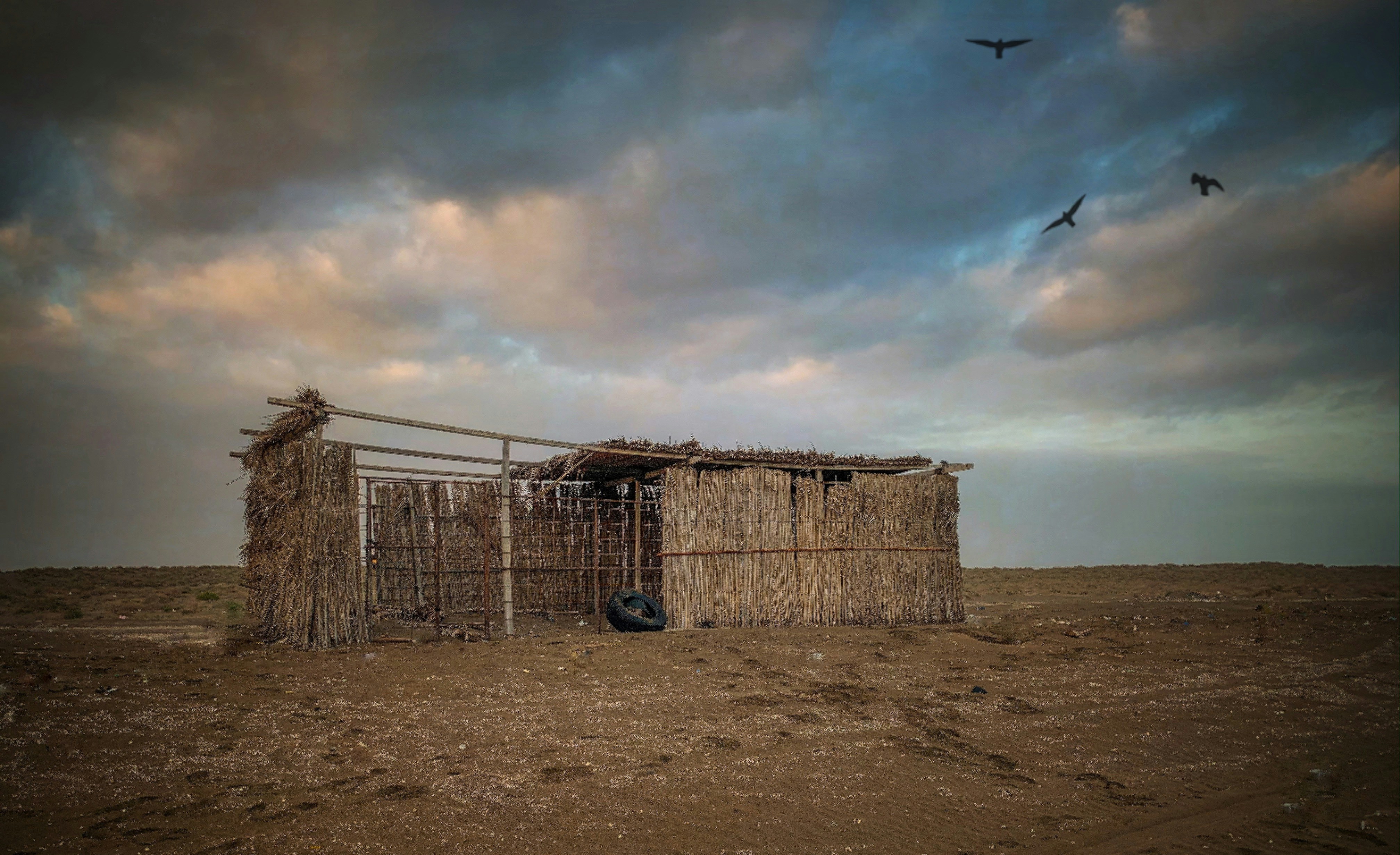 Photo by abujaad
