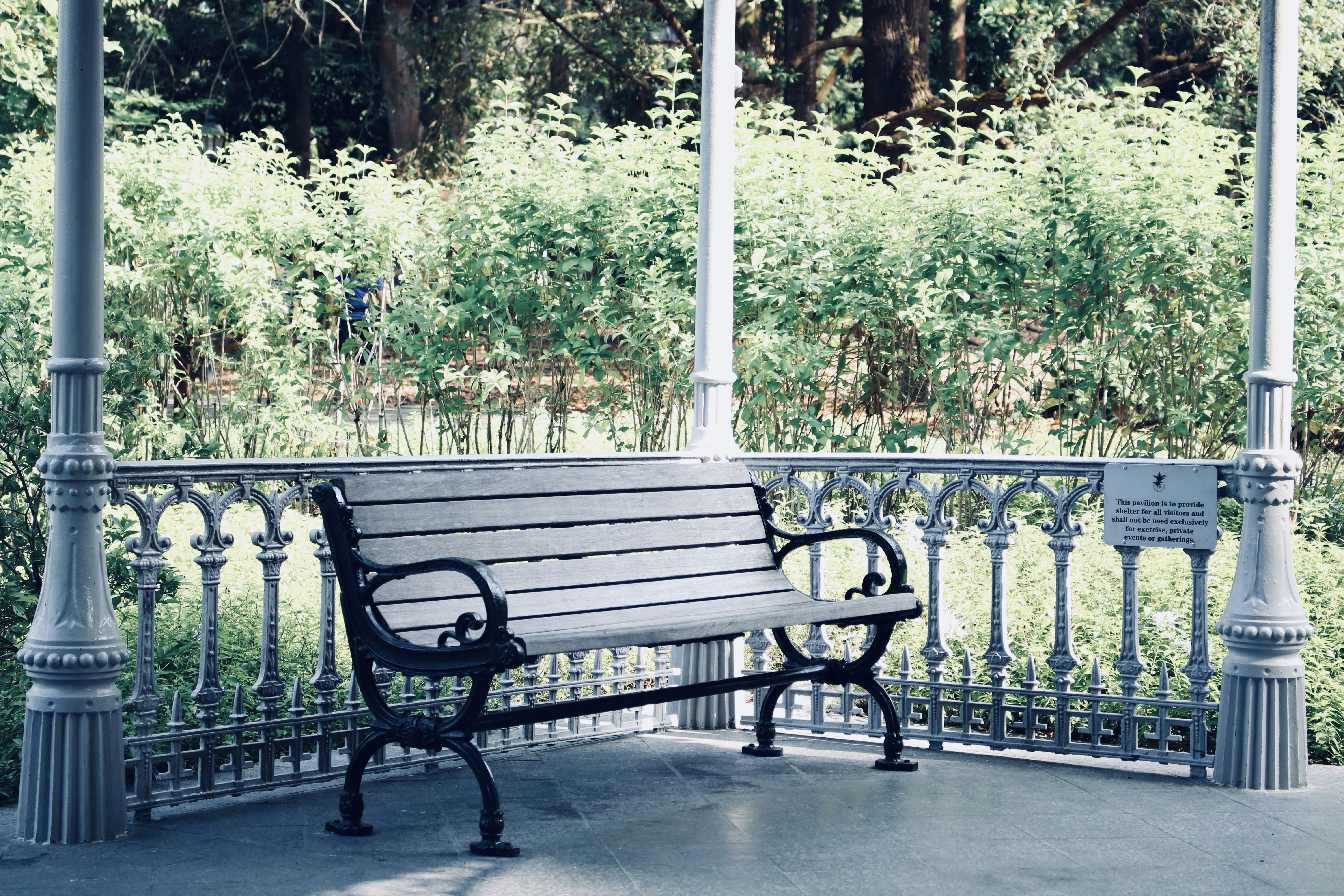 Photo by seemabansal