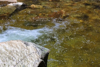 Clear water flows over a rocky surface, with sunlight reflecting off the water and creating sparkling effects. The scene features a large stone in the foreground and a stream with moss and algae scattered throughout the rocky bed.