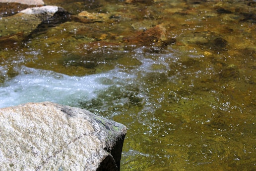 Clear water flows over a rocky surface, with sunlight reflecting off the water and creating sparkling effects. The scene features a large stone in the foreground and a stream with moss and algae scattered throughout the rocky bed.