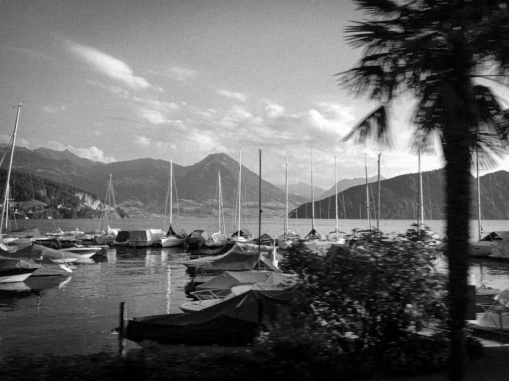 grayscale photo of boats on water near bridge