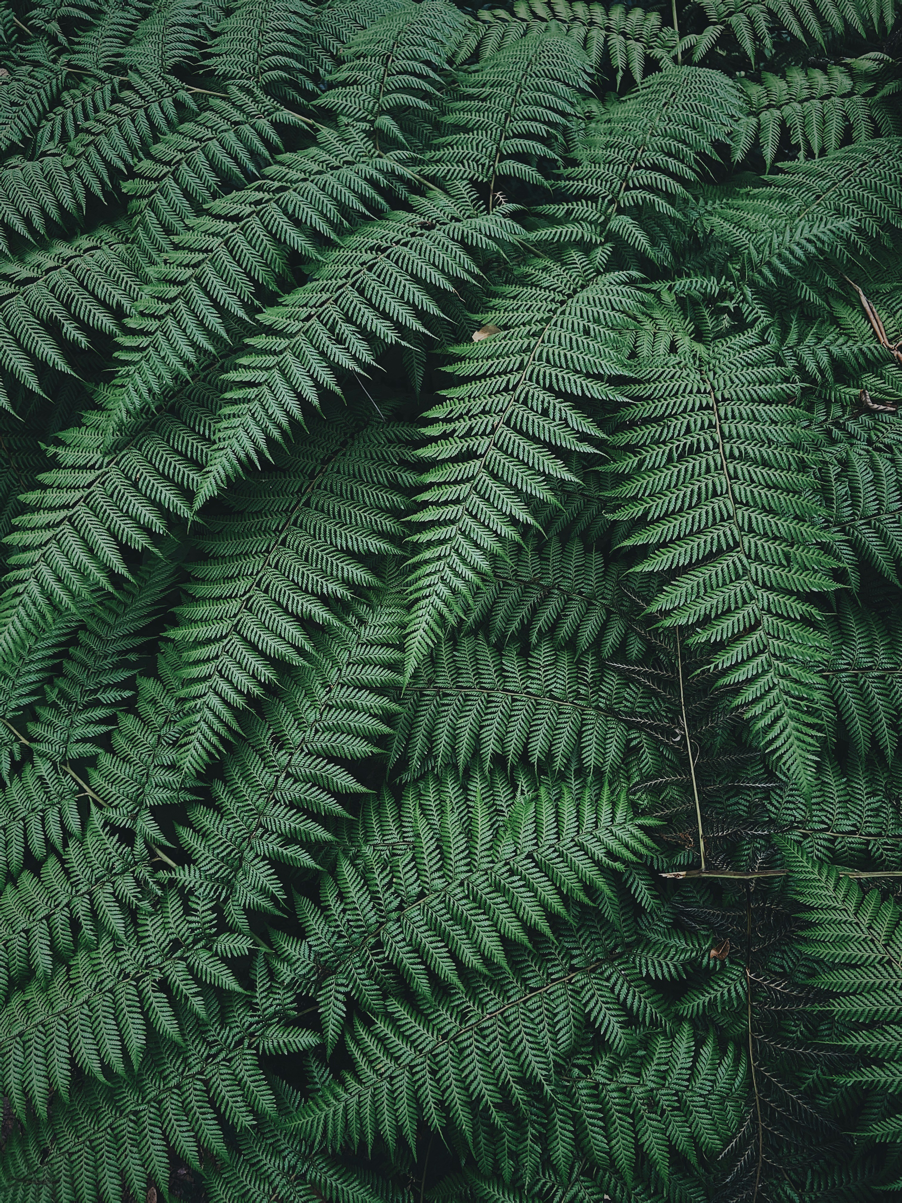 Photo by lizetortz1999