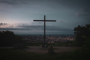 Image The Wars of Religion