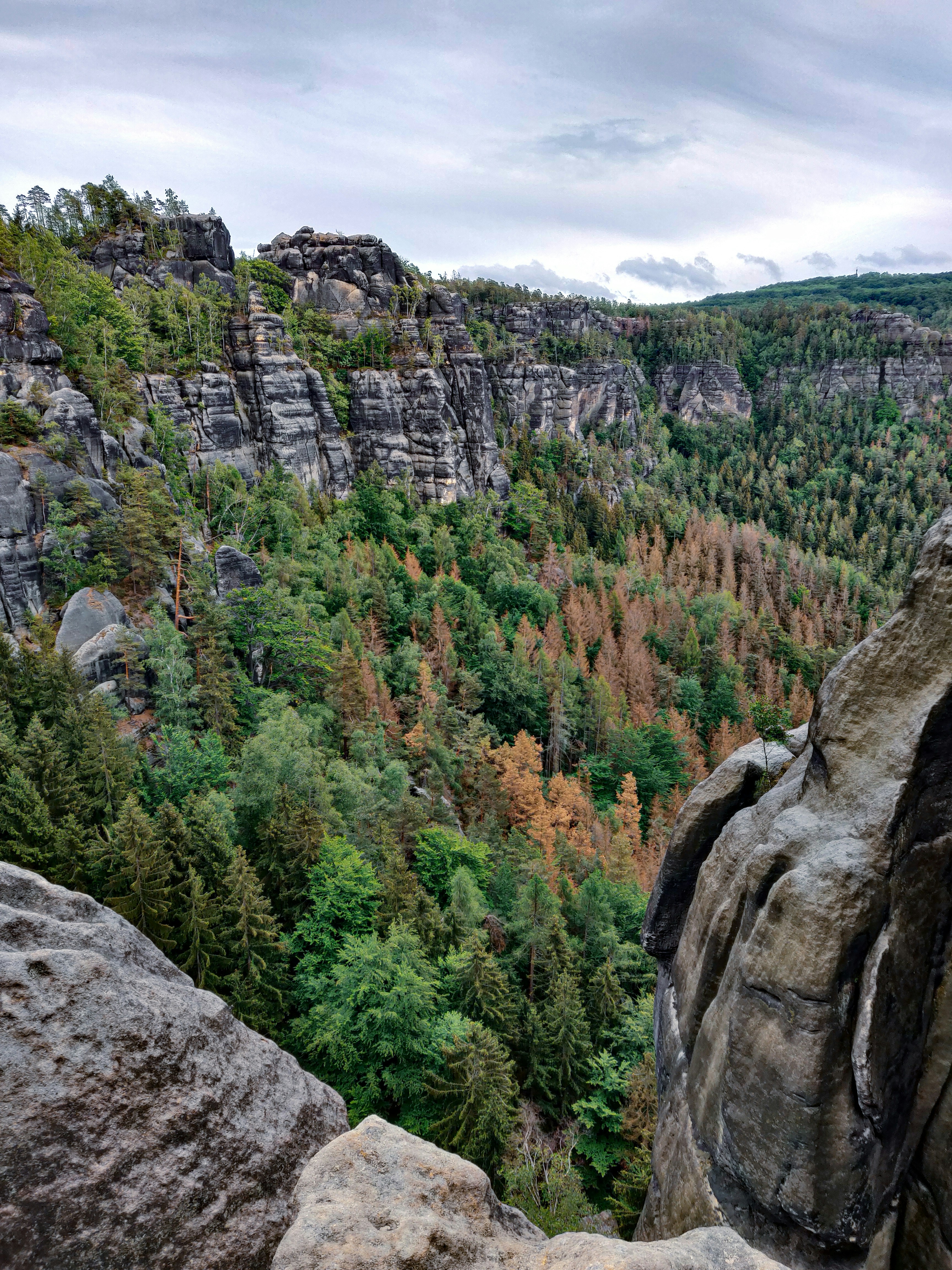 Photo by curiouscaptures