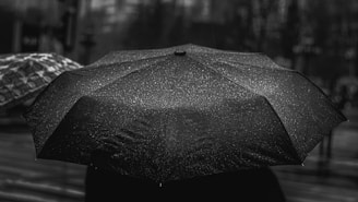 A sleek black folding umbrella open against a rainy city backdrop.